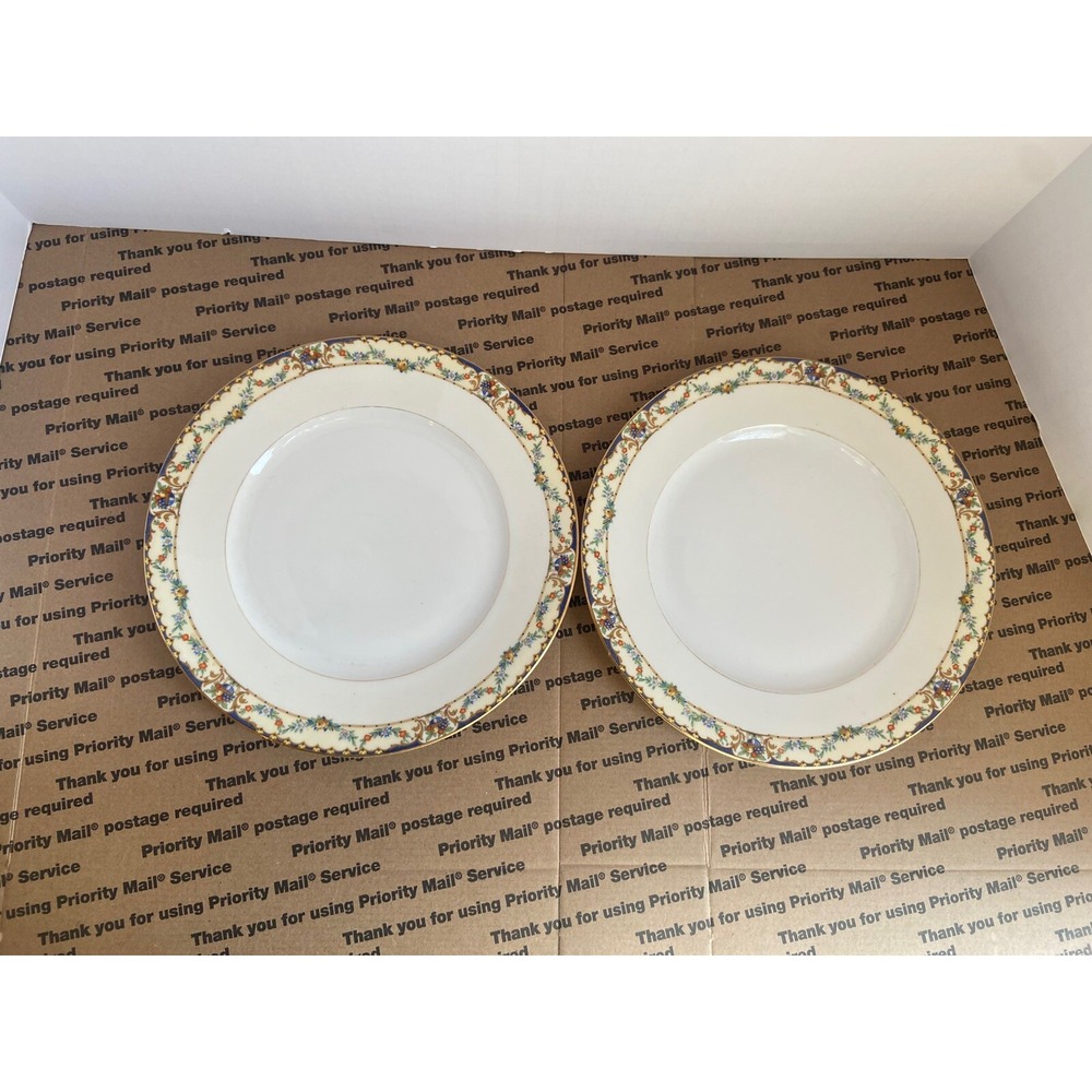 2 Vintage MZ Altrohlau  Czechoslovakia 10" Plate Fruit Urns Floral Swag